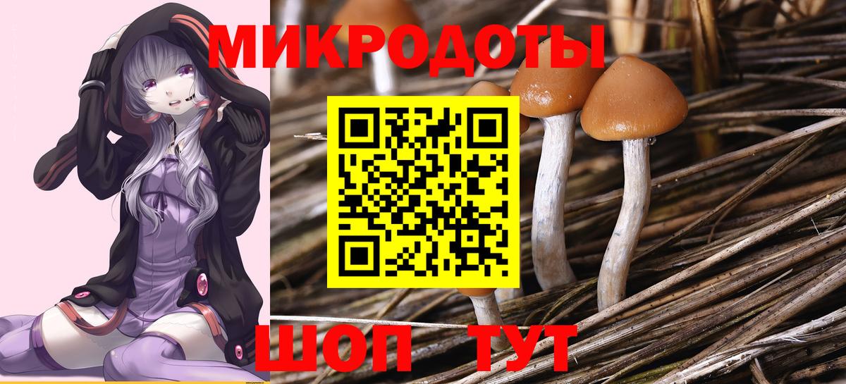 Нерюнгри  Галлюциногенные грибы GOLDEN TEACHER  Псилоцибиновые грибы ЛСД  Вход с VPN 