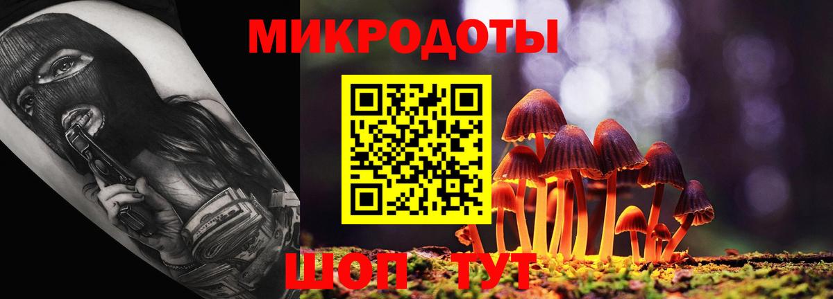 Псилоцибиновые грибы мухоморы Нерюнгри